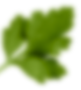 rev_home5_5