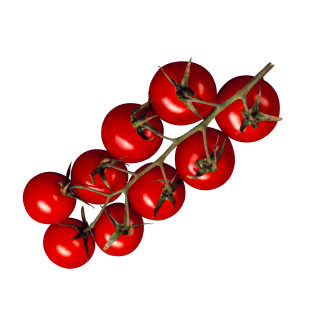 h6_img1.png